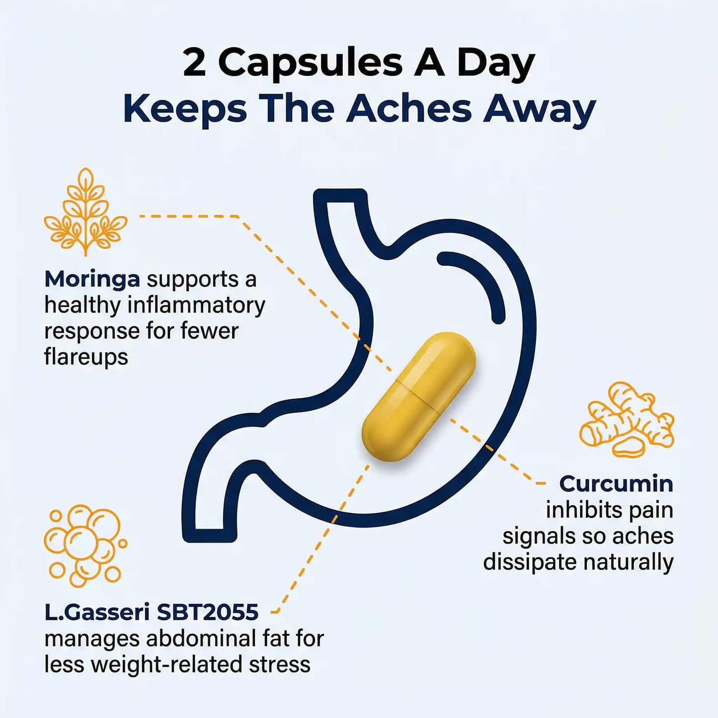 Provitalize | Best Natural Menopause Probiotic